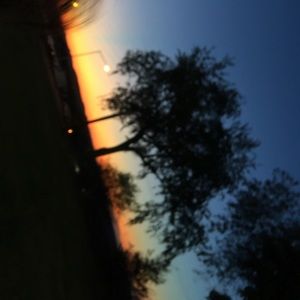 Meet your Posher, Stella